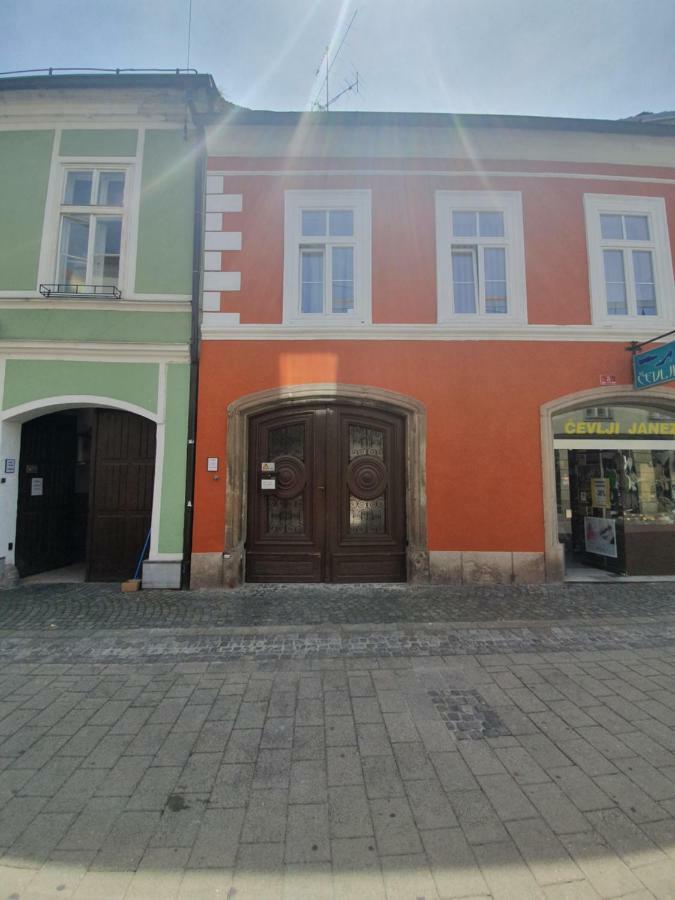 Luxory Apartment The Soul Of City Maribor Extérieur photo